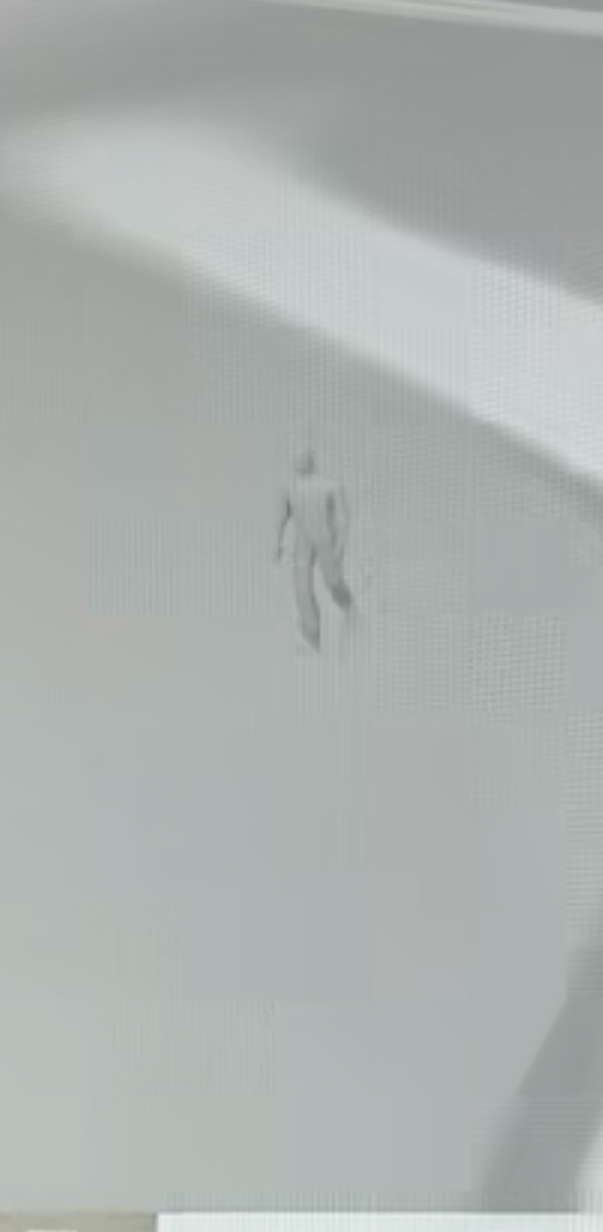 Walker